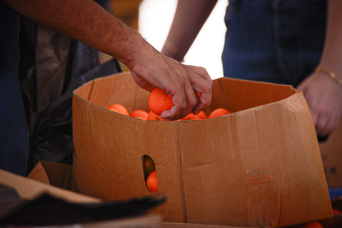 One of the many selections at the Food Drop were piles of tangerines, free to be taken by the orange or by the bunch in a plastic bag. 