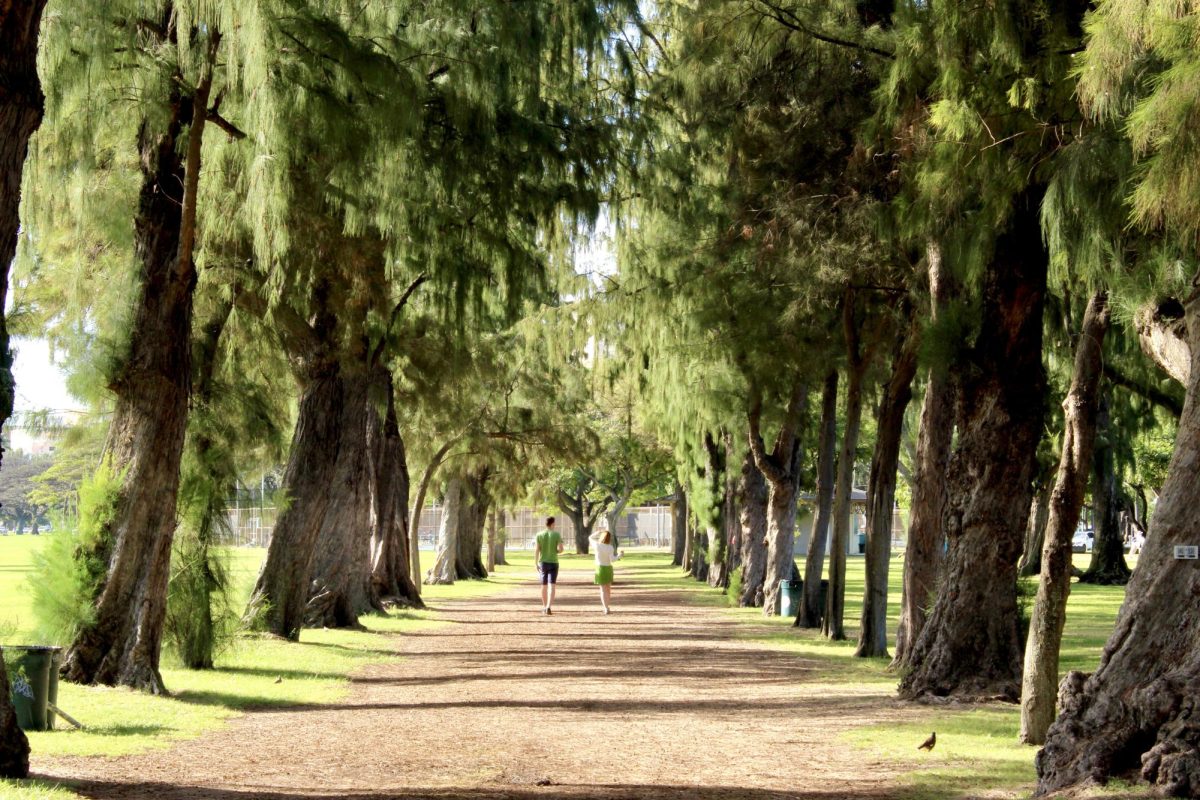 Walking is a common pastime in the park.