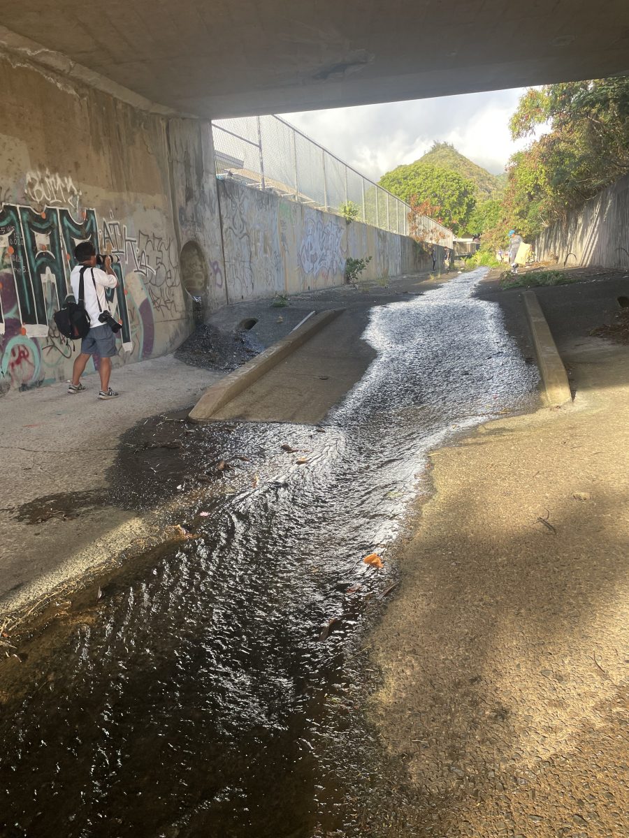 Section of the two miles of the Palolo Stream cleaned by volunteers at the Sustainable Coastlines Event on Oct. 20. 