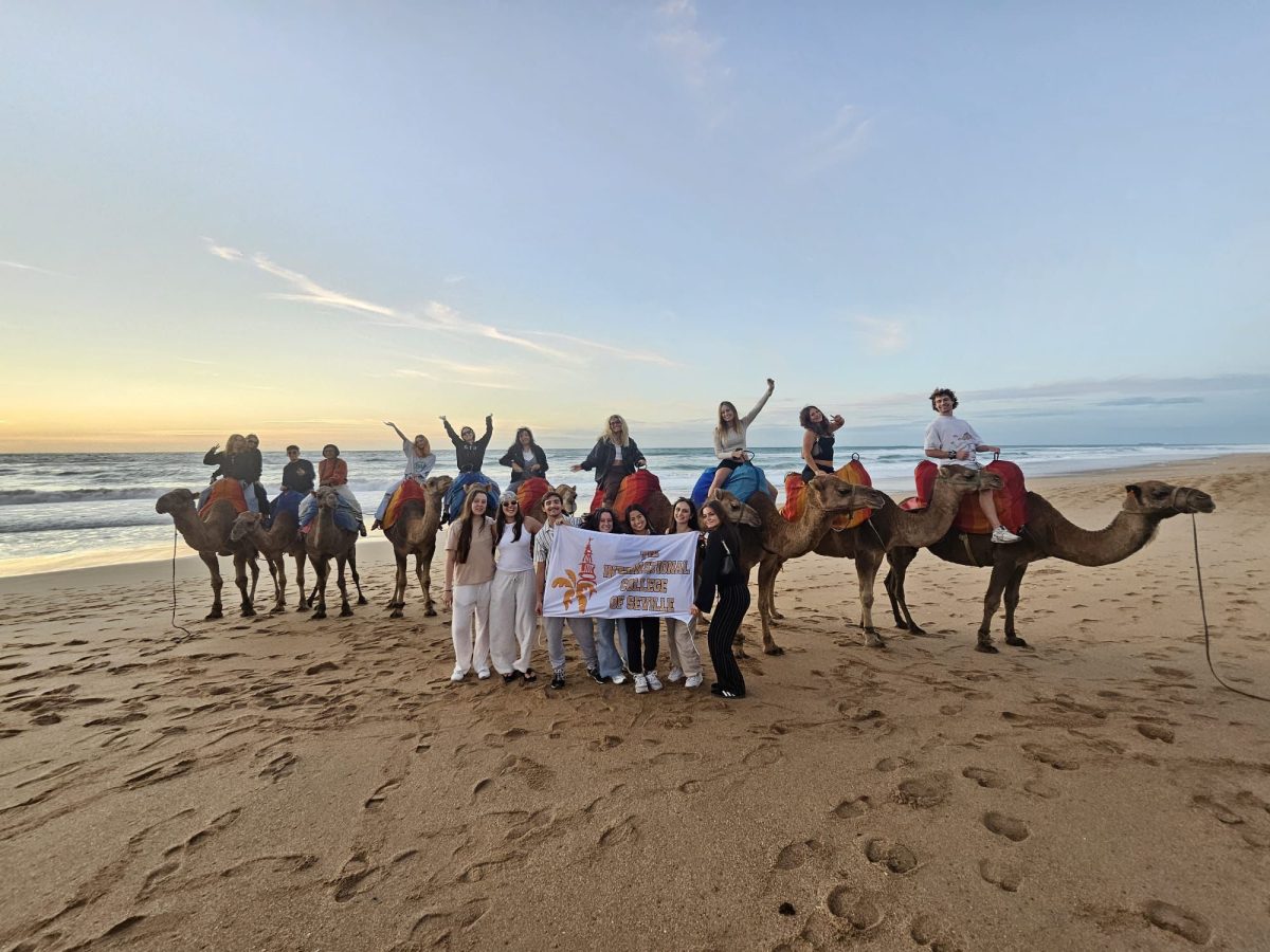 Students took part in a magical camel ride while watching the sunset in Morocco as part of their study abroad experience in Spain.