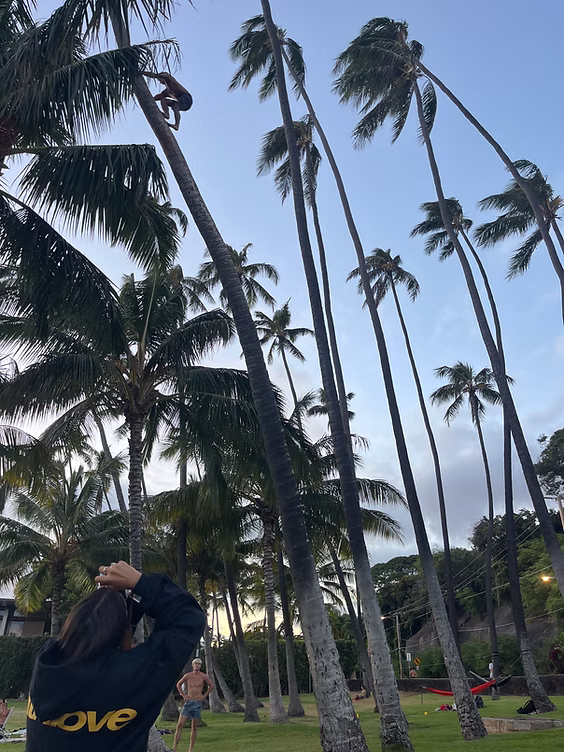Tree climbing