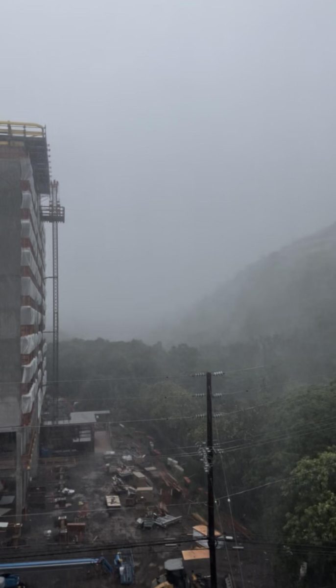 View of the storm on Thursday, Jan. 30 from Frear Hall, one of the on-campus housing buildings.