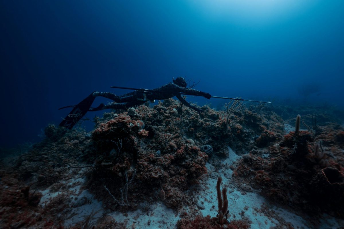 A spearfisher in the ocean