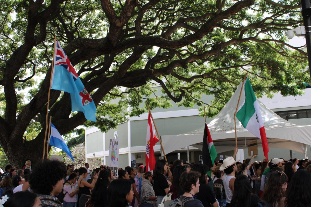 Students display their international pride with a variety of flags.