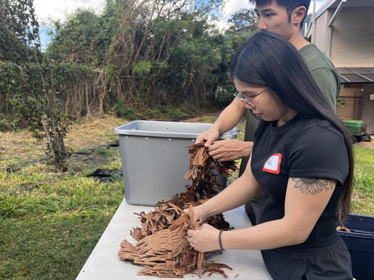 Kelli Liu and her partner Chance Inoshita work together to create their vermicomposting bin.