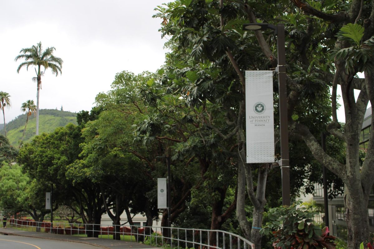 Banners along the walkway next to Campus Road.