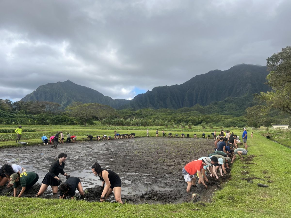  Community members dig a canal so the water can flow to the Kalo at Kākoʻo ʻŌiwi.